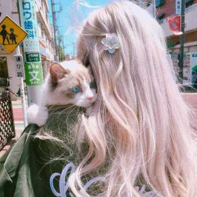 皇冠新体育下载手机版