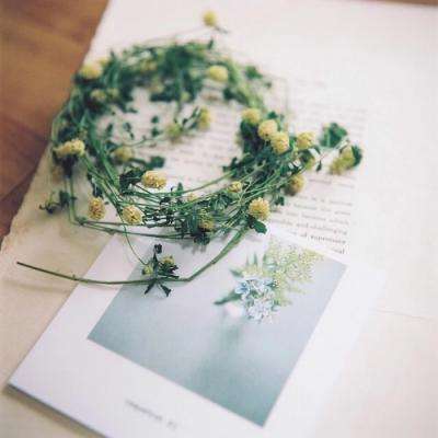 管家婆一码一肖资料大全