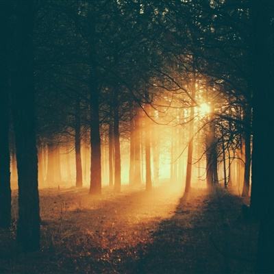 im电竞官方官网手机app下载